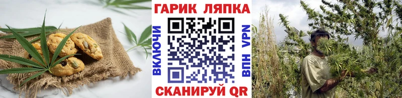 цены наркотик  mega ССЫЛКА  Еда ТГК конопля  Железноводск 