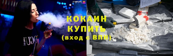 гидра Горно-Алтайск