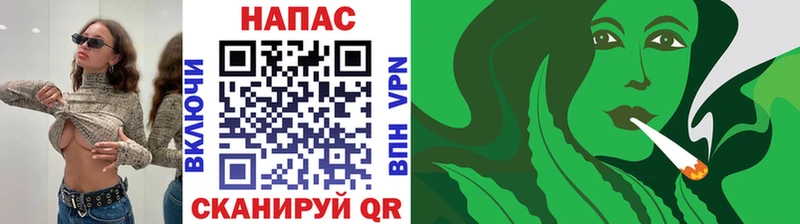 где продают наркотики  Железноводск  Конопля SATIVA & INDICA 